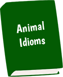 Animal Idioms