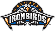 Ironbirds Logo